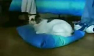 ニッキDelano持っています性別とともにa黒男と与えました彼に様々なポーズ エロ 動画 女性 版